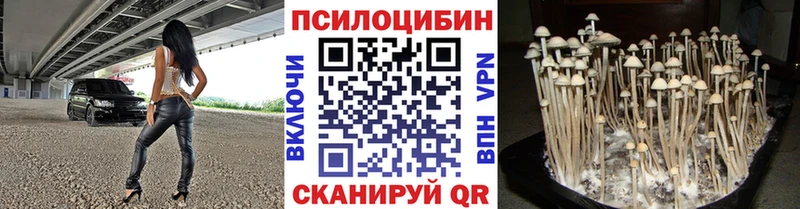 ссылка на мегу ссылки  Отрадное  Галлюциногенные грибы мицелий  купить наркотик 