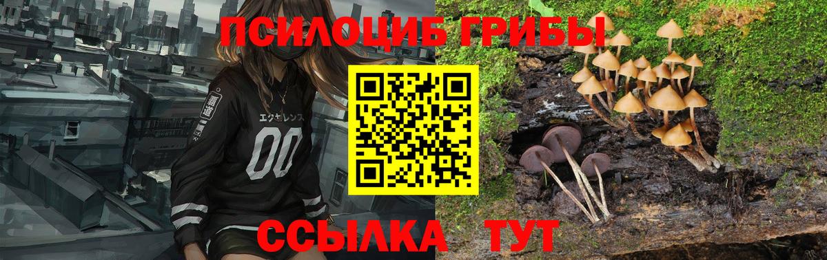 Галлюциногенные грибы Magic Shrooms Отрадное