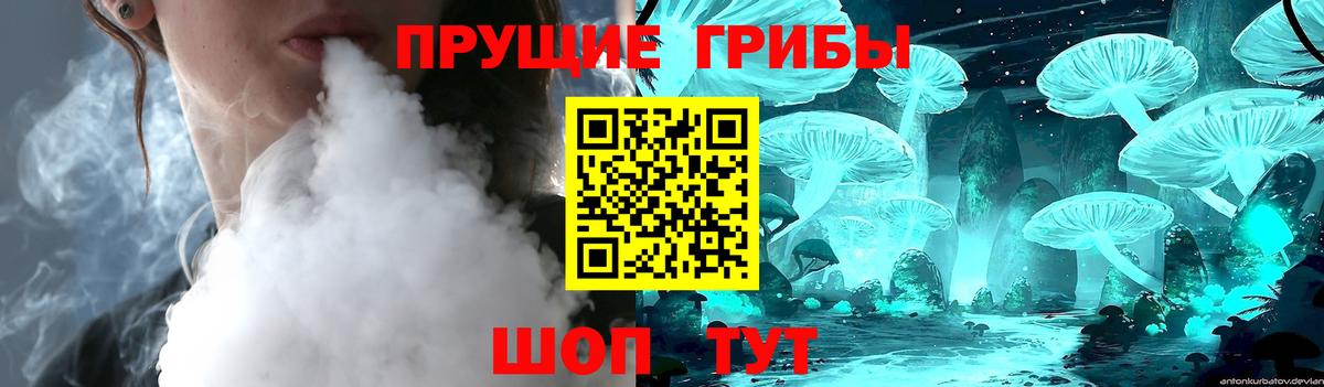 Галлюциногенные грибы GOLDEN TEACHER  Отрадное  Псилоцибиновые грибы мицелий 